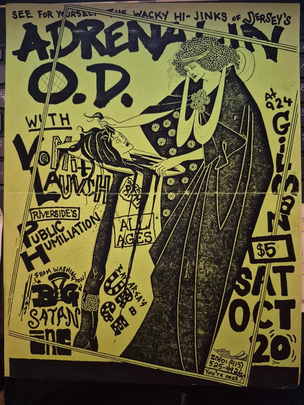  PUNK FLYER - (11 x 8.5) AOD