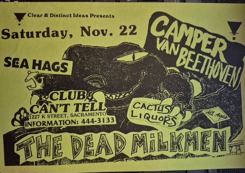  PUNK FLYER - (5.5 x 8.5) Dead Milkmen