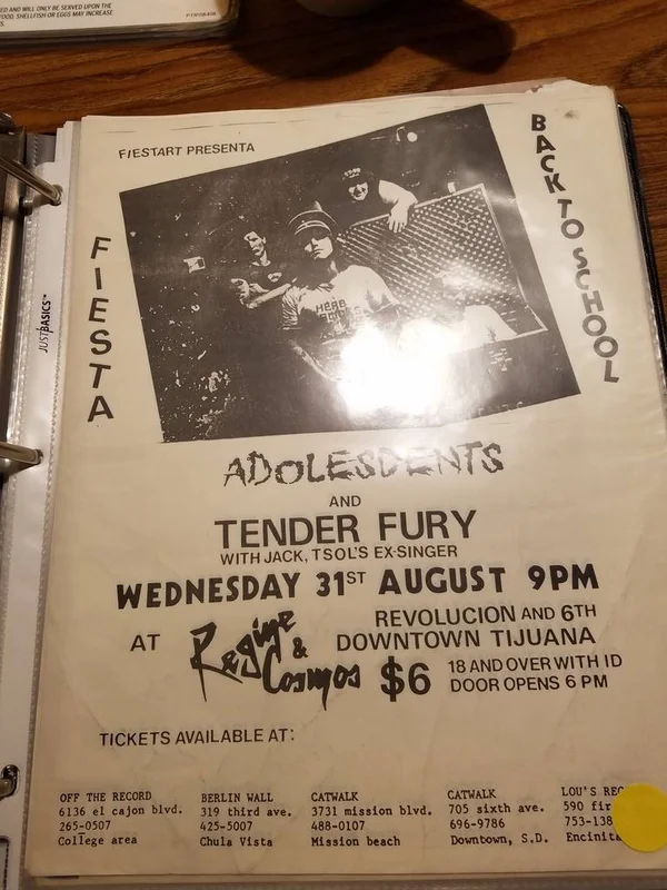 $10 PUNK FLYER - ADOLESCENTS