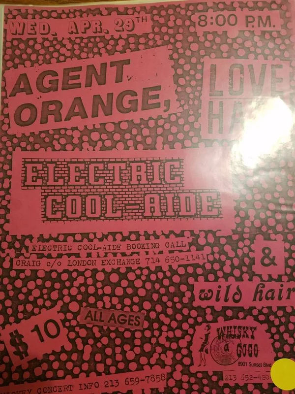 PUNK FLYER - AGENT ORANGE