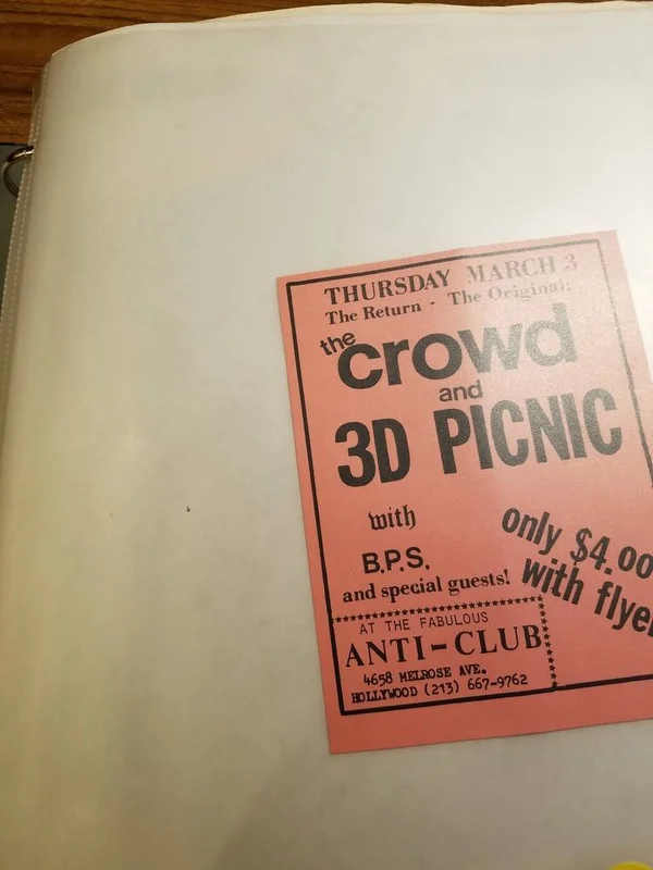 PUNK FLYER - CROWD 3D PICNIC