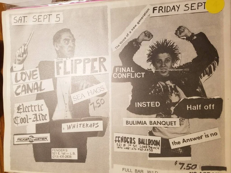 PUNK FLYER - LOVE CANAL FLIPPER FINAL CONFLICT