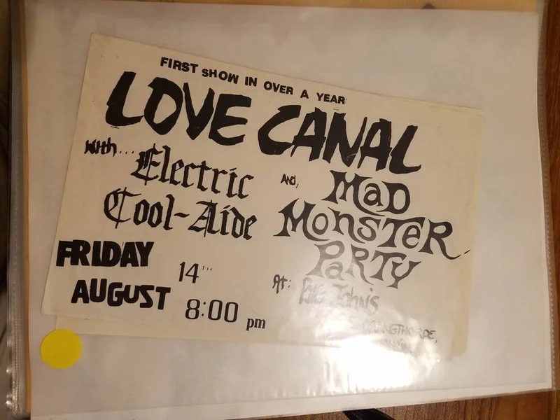 PUNK FLYER - LOVE CANAL MAD MONSTER PARTY