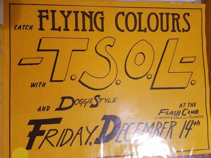 PUNK FLYER - TSOL DOGGIE STYLE