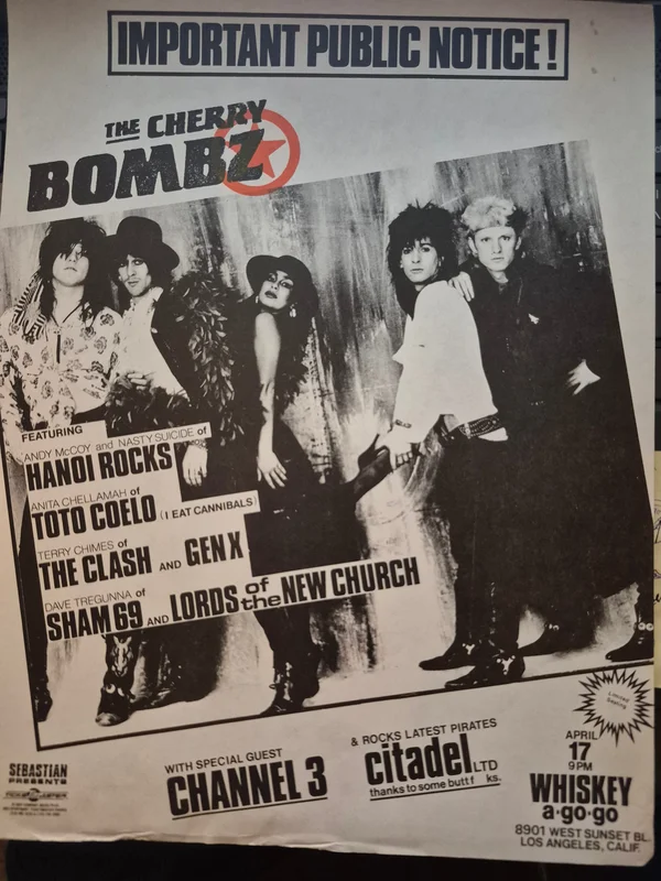 $15 PUNK FLYER - (11x8.5) Cherry Bombz