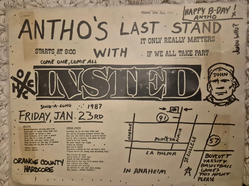 $15 PUNK FLYER - (11x8.5) Insted