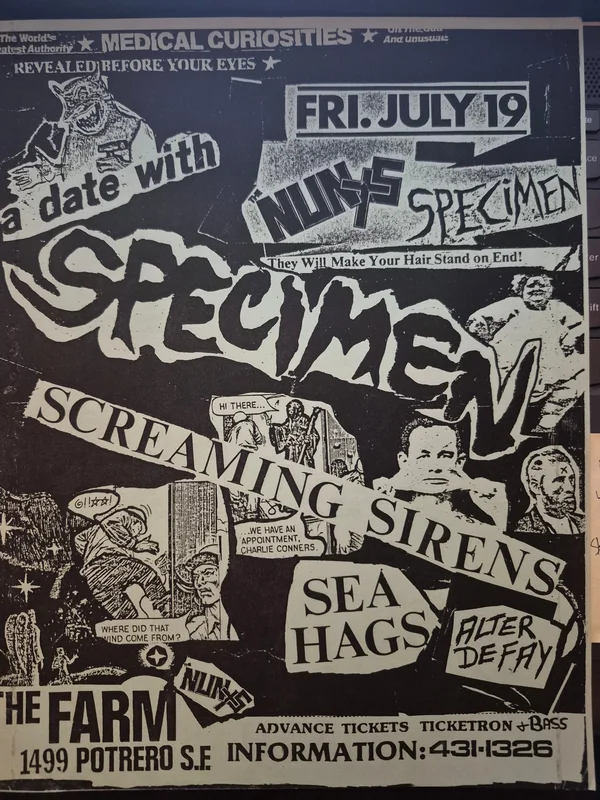 $15 PUNK FLYER - (11x8.5) Specimen