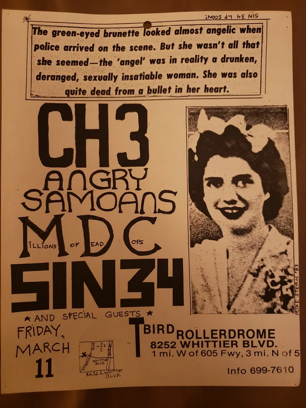 $15 PUNK FLYER - (8.5 x 11) CH3 MDC SIN 34