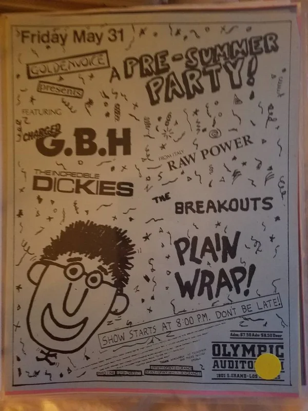 $15 PUNK FLYER GBH THE DICKIES RAW POWER