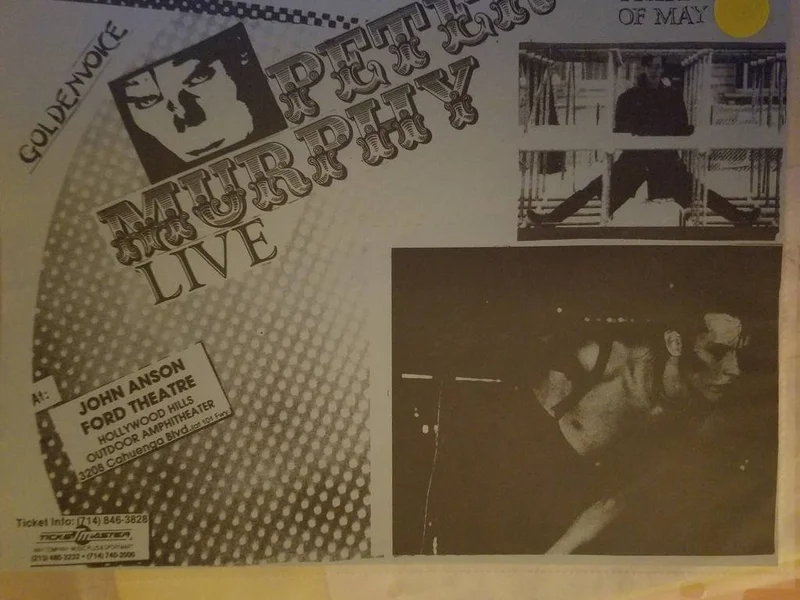 $15 PUNK FLYER PETER MURPHY