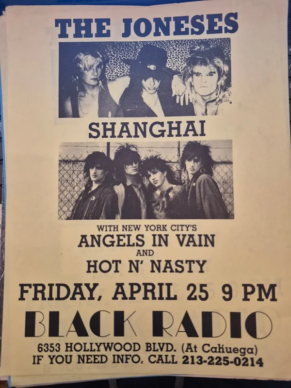 $20 PUNK FLYER  (8.5 x 11) Joneses