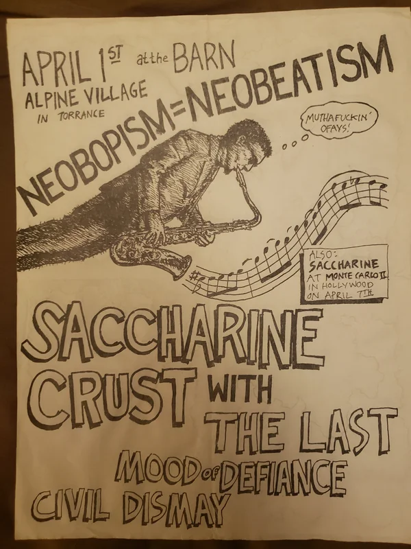 $20 PUNK FLYER  (8.5 x 11) SACCHARINE TRUST LAST
