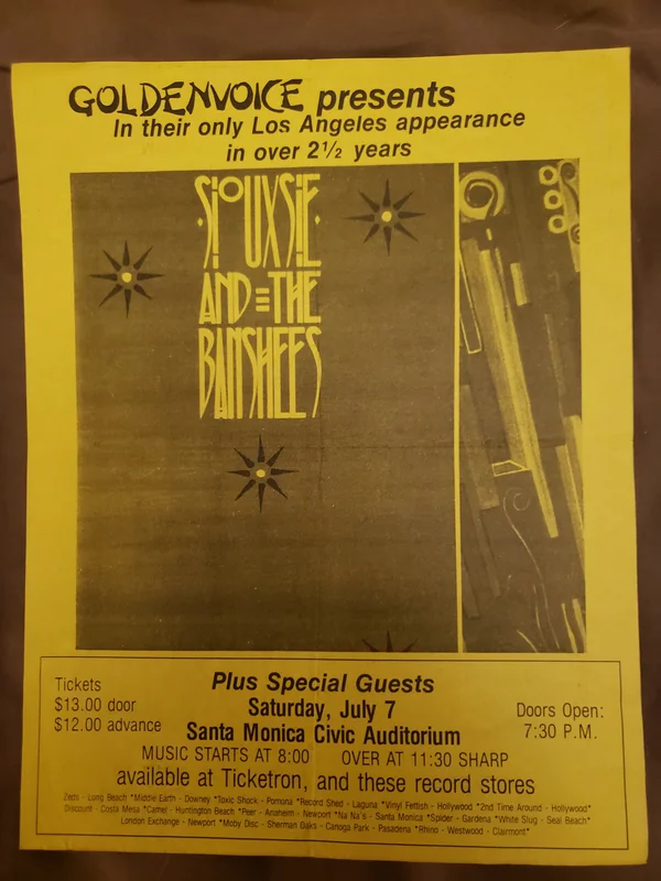 $20 PUNK FLYER  (8.5 x 11) SIOUXSIE