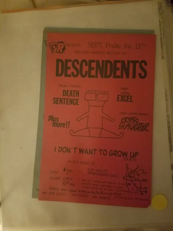 $20 PUNK FLYER - DESCENDANTS EXCEL