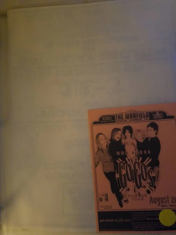 $5 PUNK FLYER - GOGOS