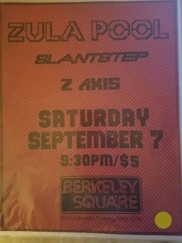 $5 PUNK FLYER - ZULA POOL Z AXIS