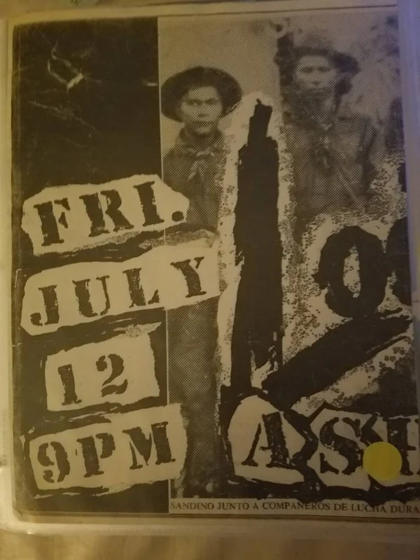 $5 PUNK FLYER