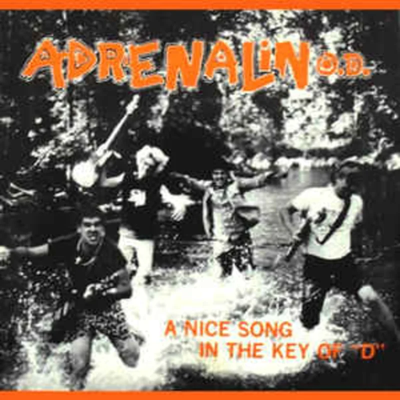 Adrenalin OD - A Nice Song In The Key Of D USED 7"