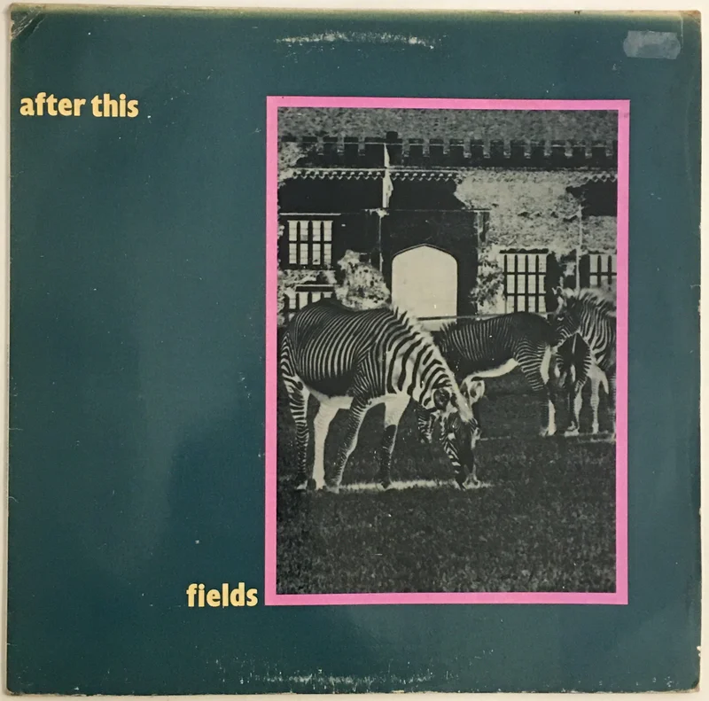 After This - Fields / Hollow Hills 12" Single