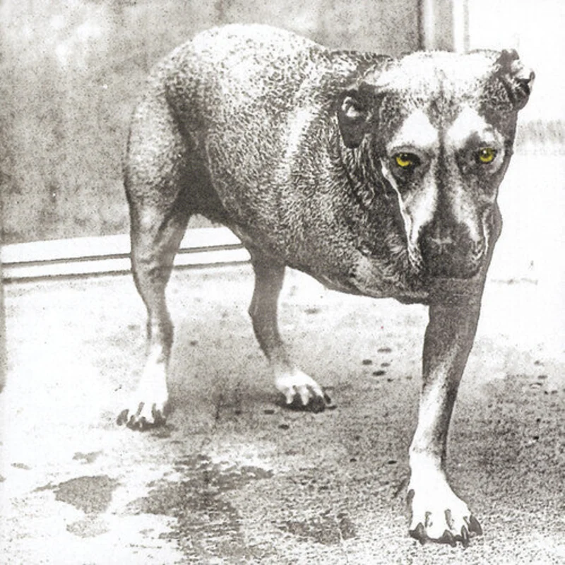 Alice in Chains - s/t debut - 2 LP 30th Anniversary edition on limited colored vinyl