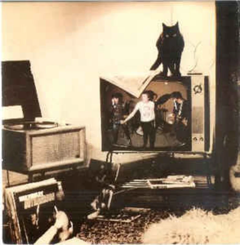 Alternative Tv - How Much Longer USED 7"