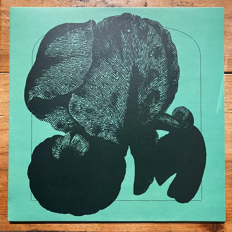 Anaglyfparken - Anaglyfparken (LP)