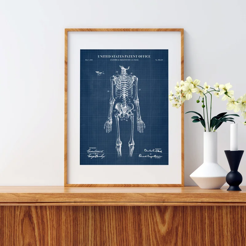 Anatomical Skeleton Patent Wall Art - Blueprint