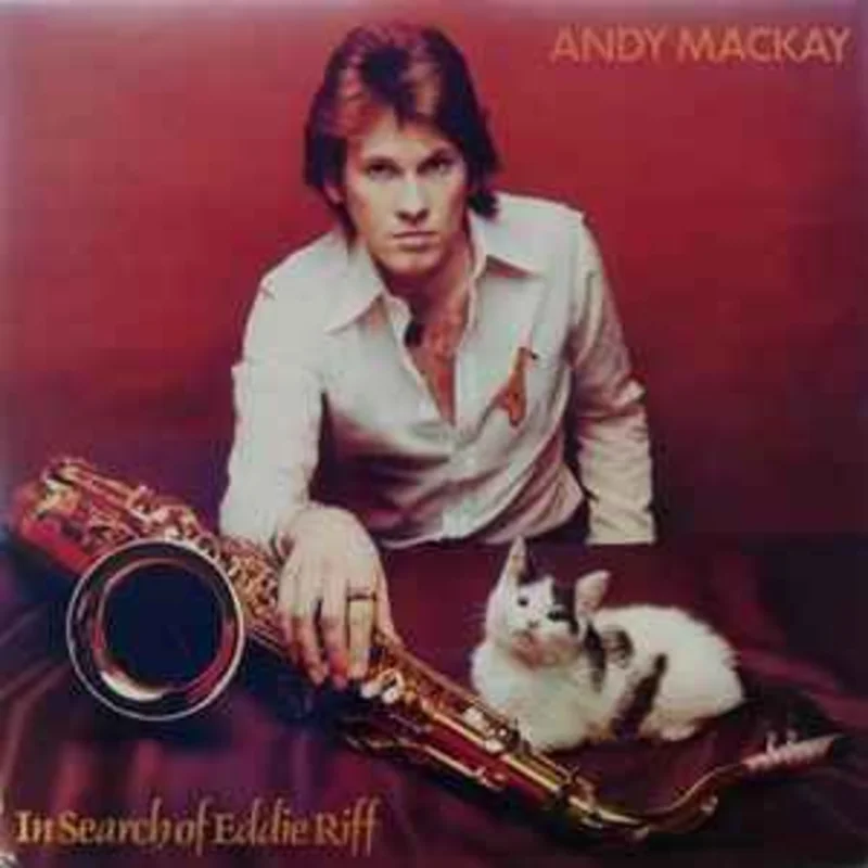 Andy Mackay  In Search Of Eddie Riff