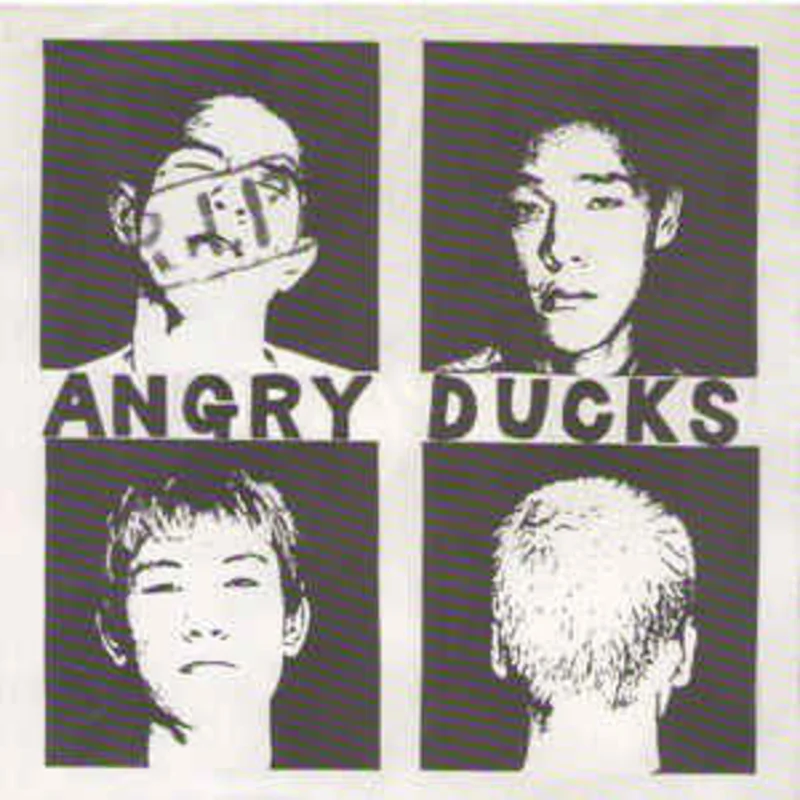 Angry Ducks - We Are Far East Skinheads USED 7"