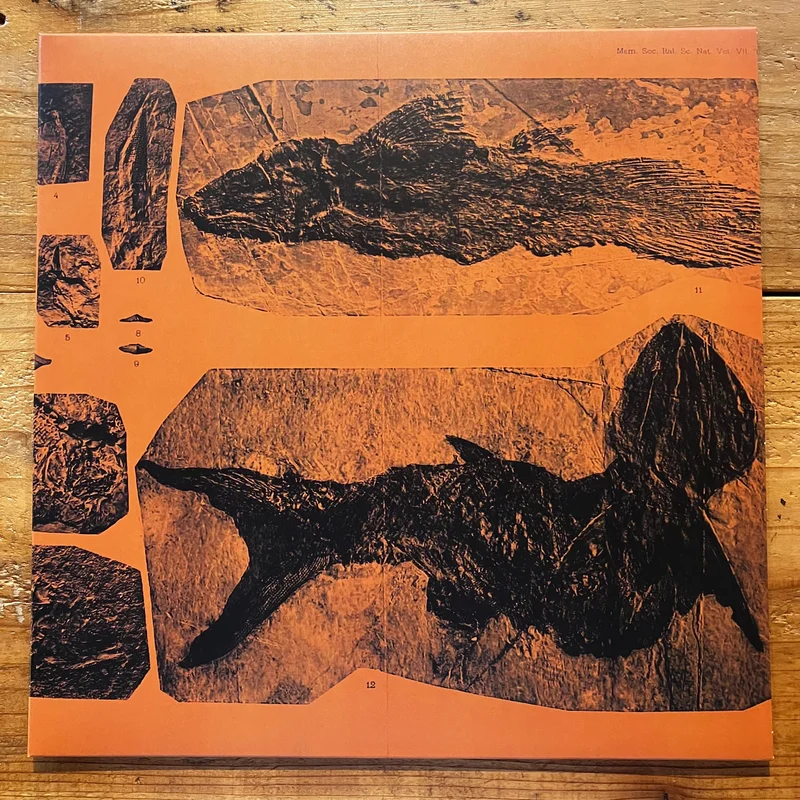 Annelies Monser - Mares (LP)