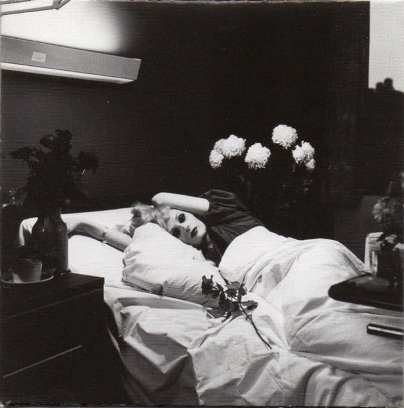 Antony And The Johnsons  I Am A Bird Now     CD