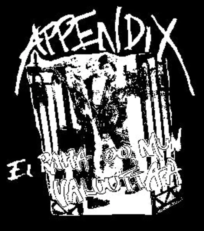 APPENDIX back patch