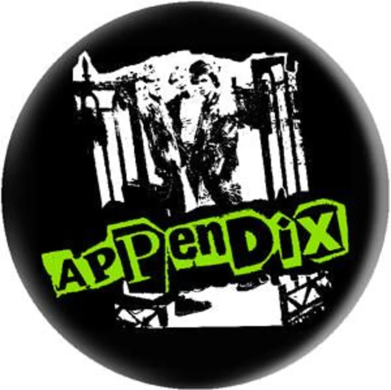 APPENDIX button (1 inch)