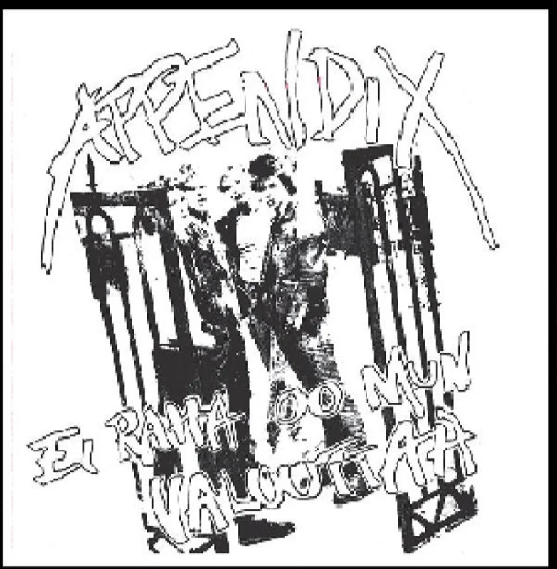 Appendix - Ei Raha Oo Mun Valuuttaa NEW LP (black vinyl)