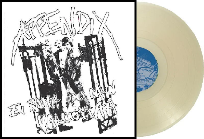 Appendix - Ei Raha Oo Mun Valuuttaa NEW LP (indie exclusive clear vinyl)