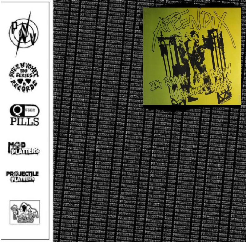 Appendix - Ei Raha Oo Mun Valuuttaa USED LP (test press)