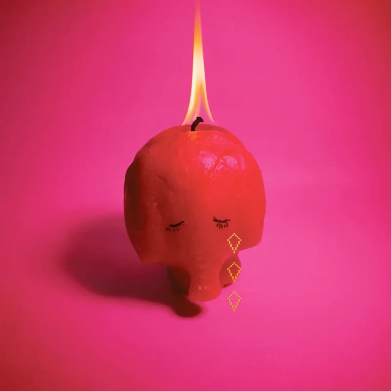 Arcade Fire - Pink Elephant