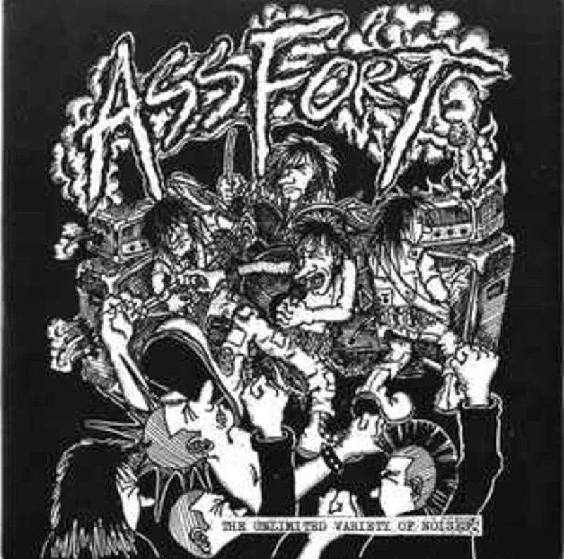 Assfort - The Unlimited Variety Of Noise USED 7"