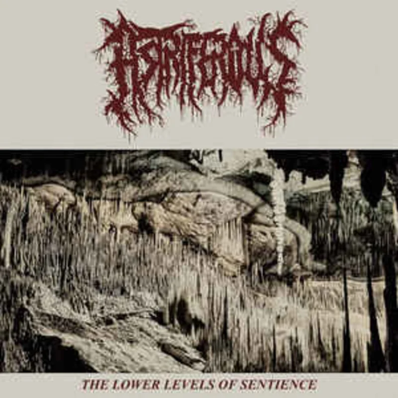Astriferous - The Lower Levels Of Sentience NEW METAL LP