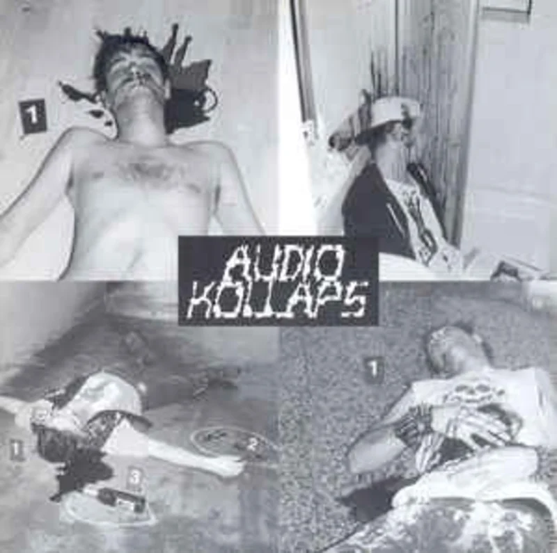 Audio Kollaps / Wolfbrigade - Split USED 7"