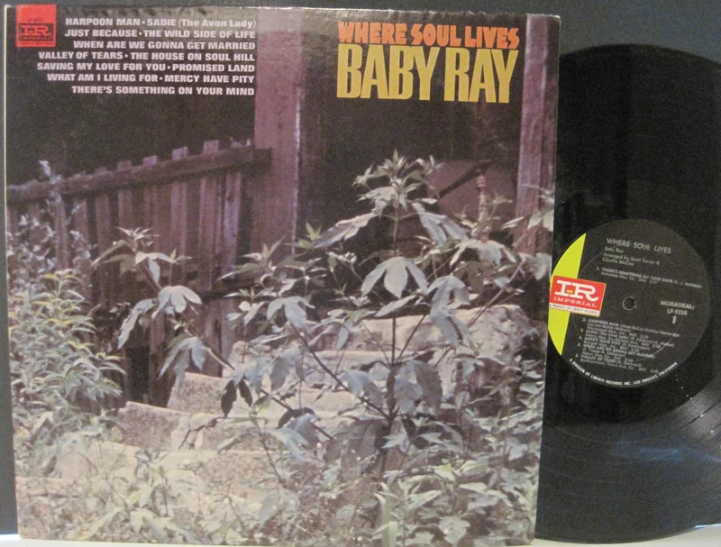 Baby Ray - Where Soul Lives