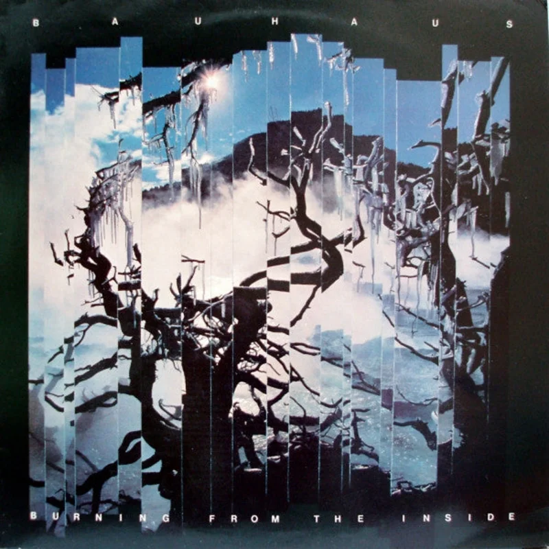 Bauhaus - Burning From The Inside NEW CD