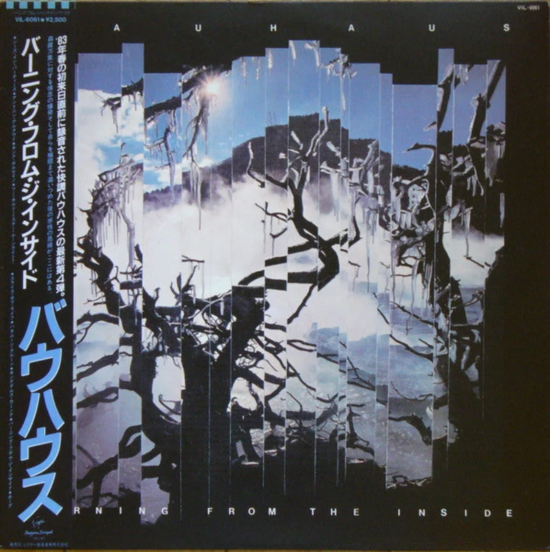 Bauhaus - Burning From The Inside USED POST PUNK / GOTH LP (jpn)