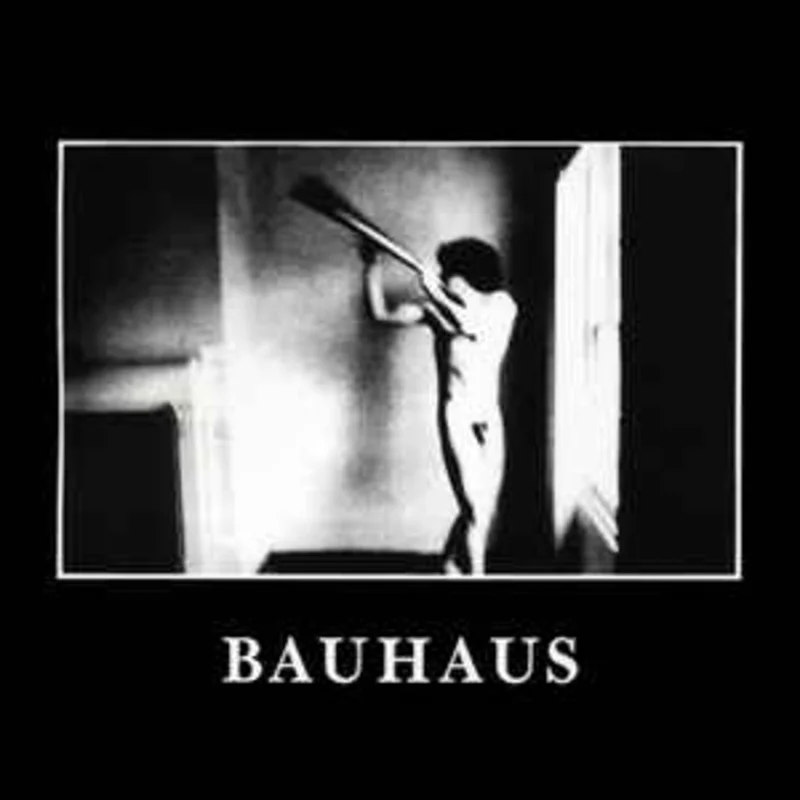 Bauhaus - In The Flat Field USED CD