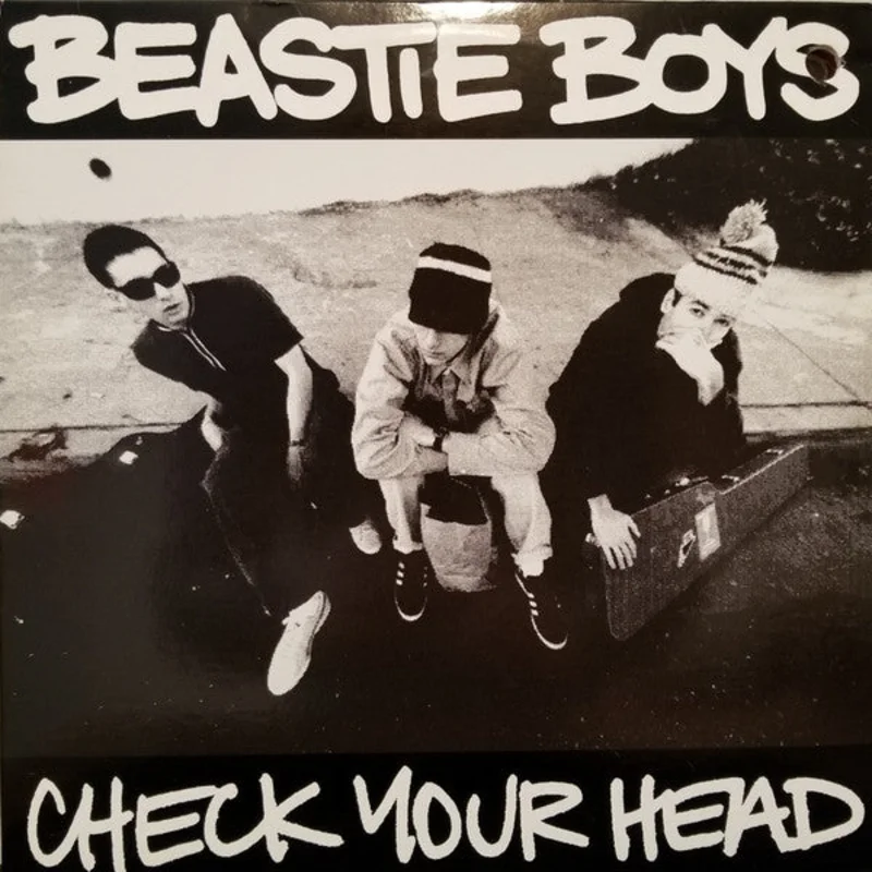 Beastie Boys - Check Your Head USED 2xLP