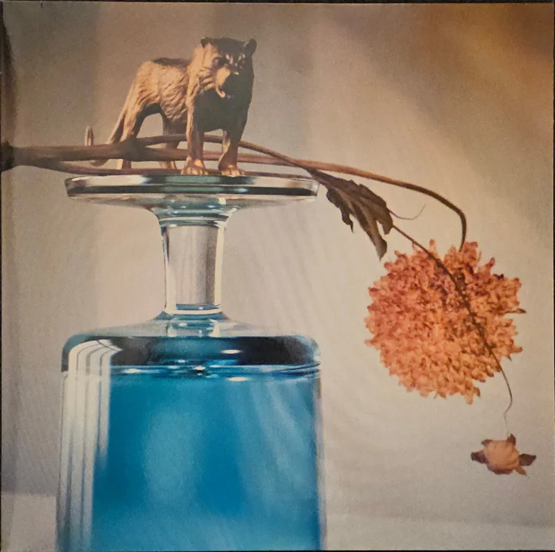 Beirut - Gallipoli Lp