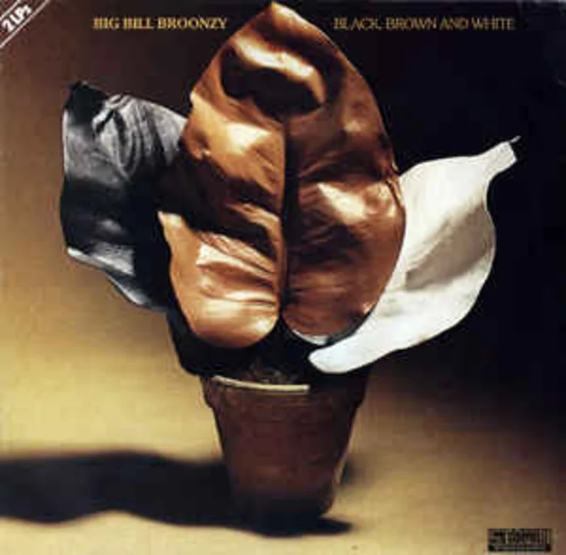 Big Bill Broonzy  Black, Brown And White  (1978)