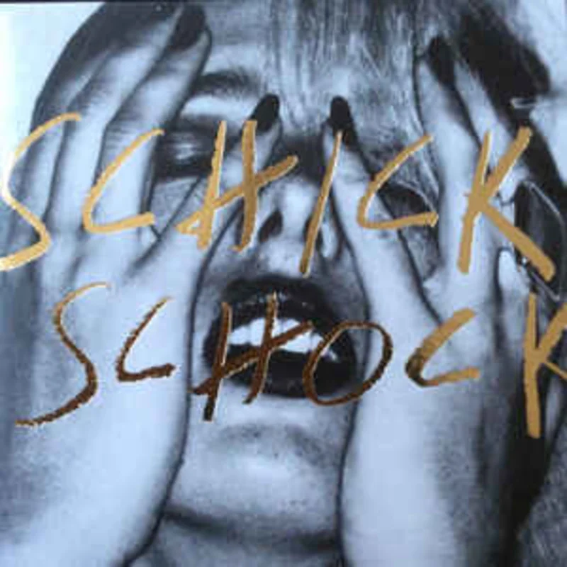 Bilderbuch  Schick Schock  (2015)