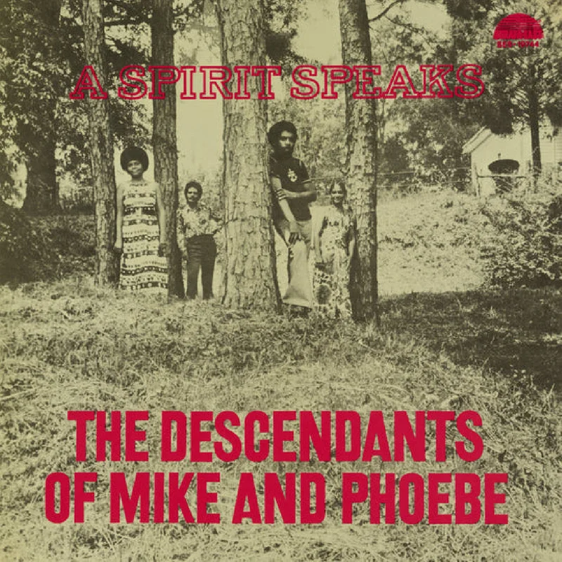 Bill Lee - A Spirit Speaks - Special LP release for BF25