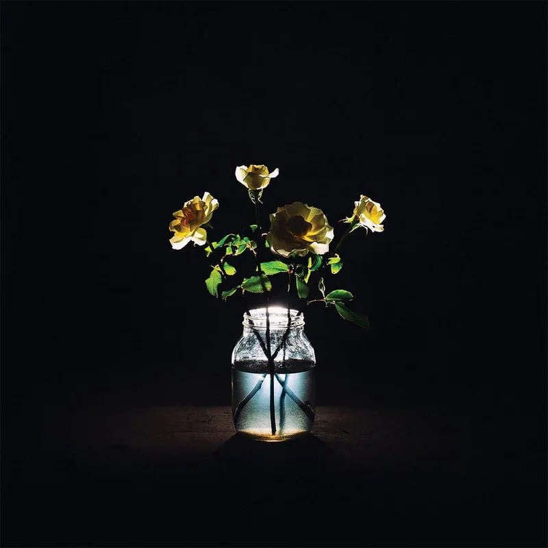 Billy Strings - Renewal 2 LP - 180g